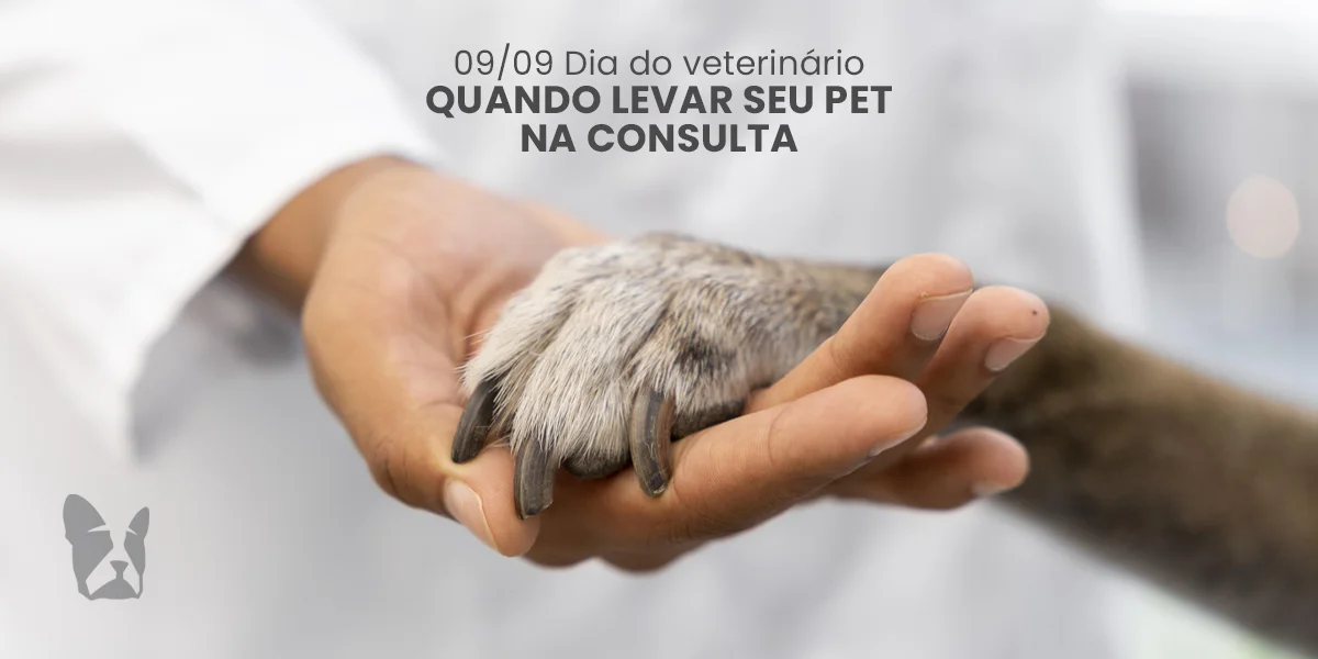 Dia do Veterinário: quando levar seu pet à consulta