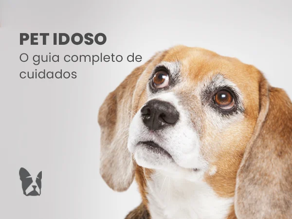 Pet idoso: o guia completo de cuidados na melhor idade